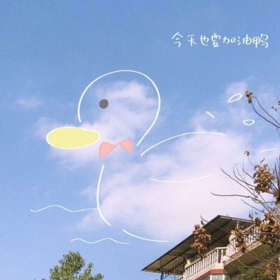 BOB半岛·体育官方平台